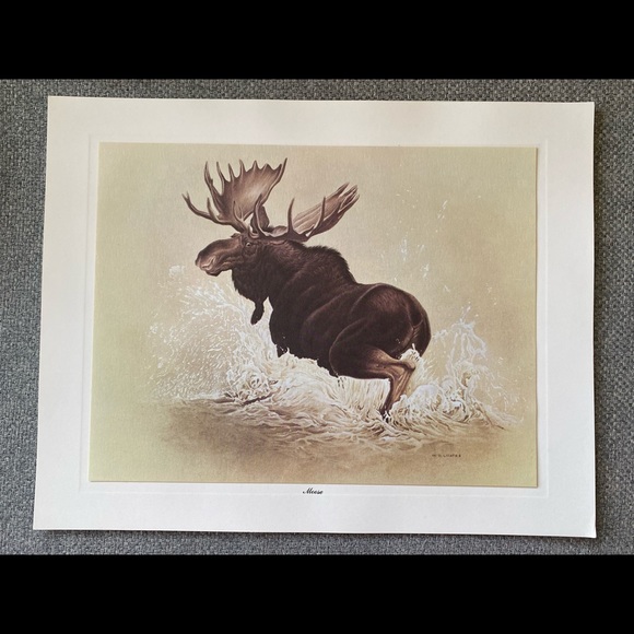 M.G. Loates prints, ca. 1967 - Picture 7 of 8